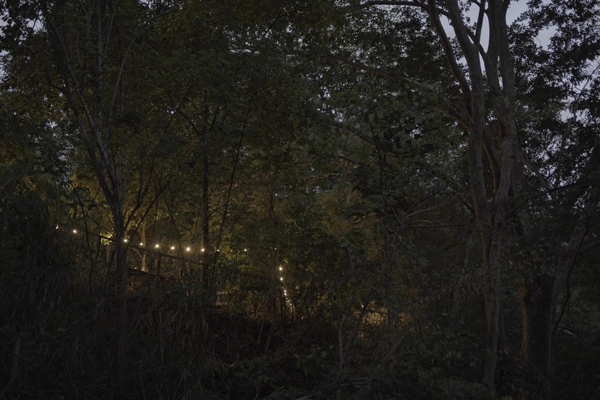 River Glamping By Gaga Bees อุดาวาลาเว ภายนอก รูปภาพ