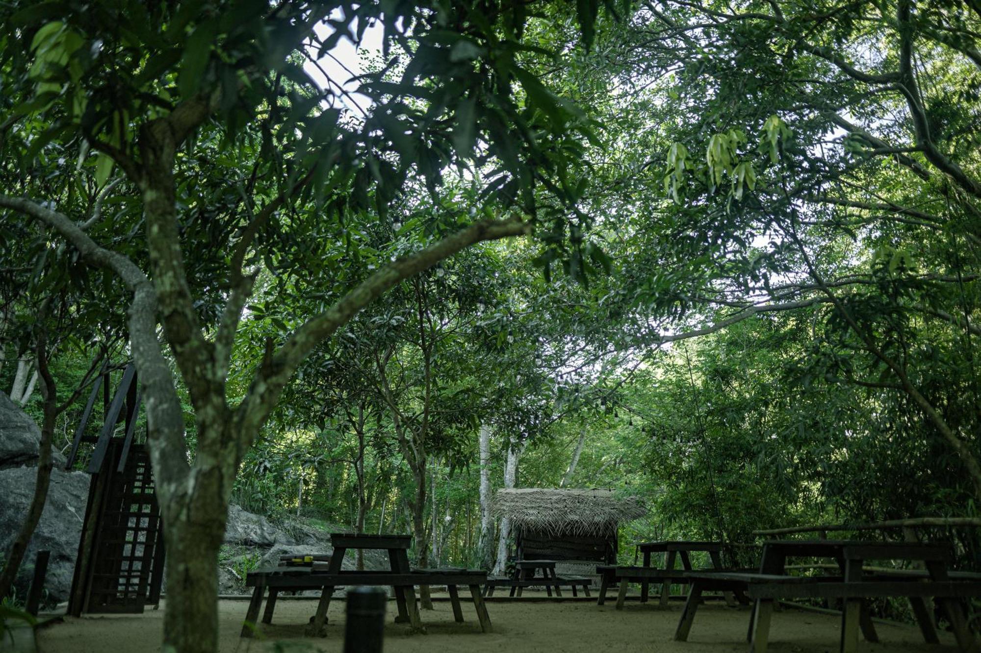 River Glamping By Gaga Bees อุดาวาลาเว ภายนอก รูปภาพ