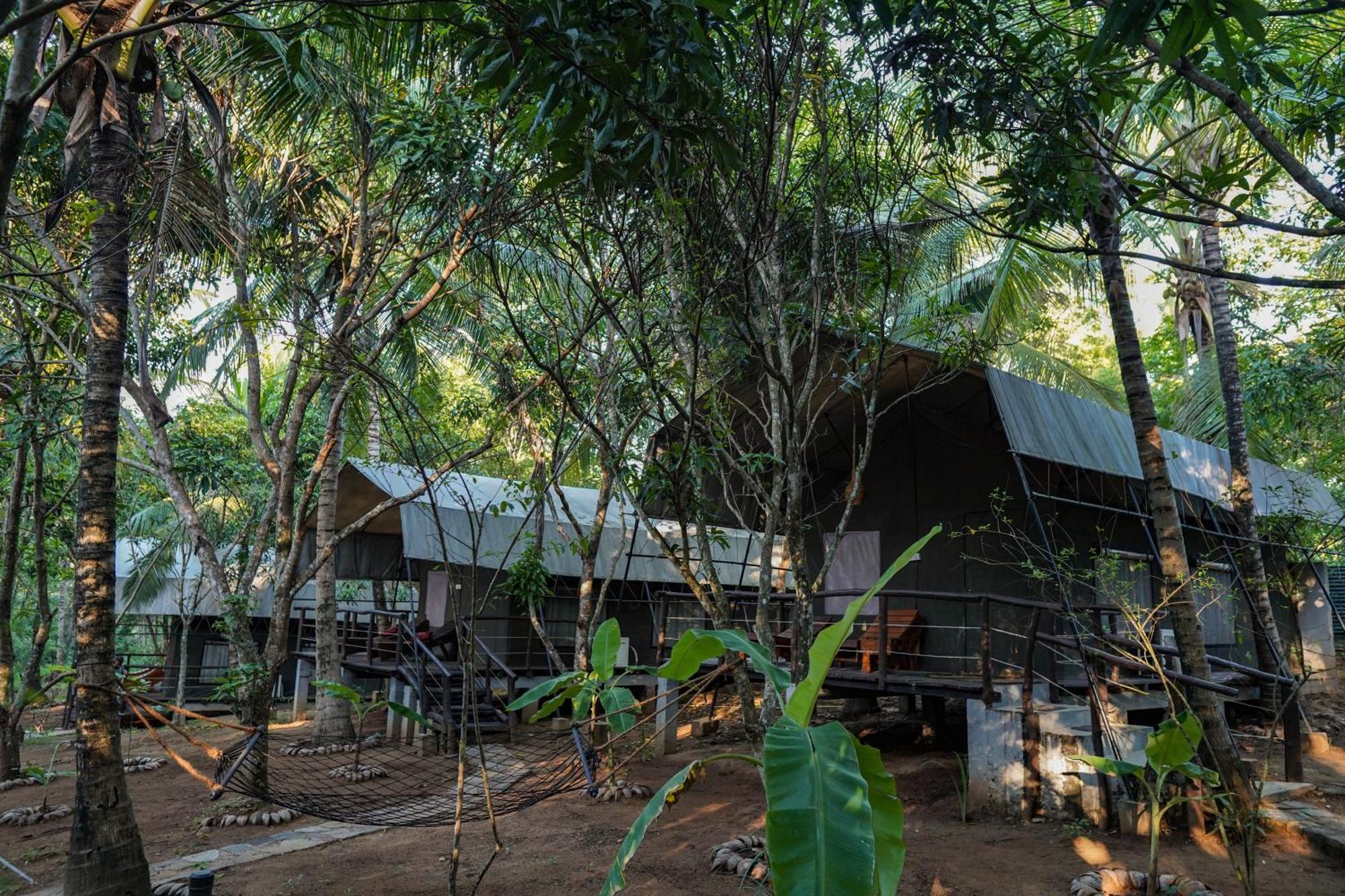 River Glamping By Gaga Bees อุดาวาลาเว ภายนอก รูปภาพ
