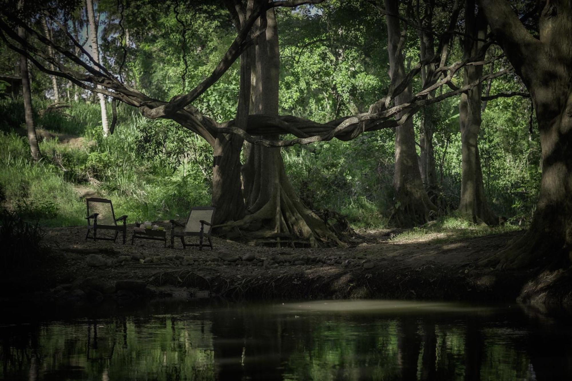 River Glamping By Gaga Bees อุดาวาลาเว ภายนอก รูปภาพ