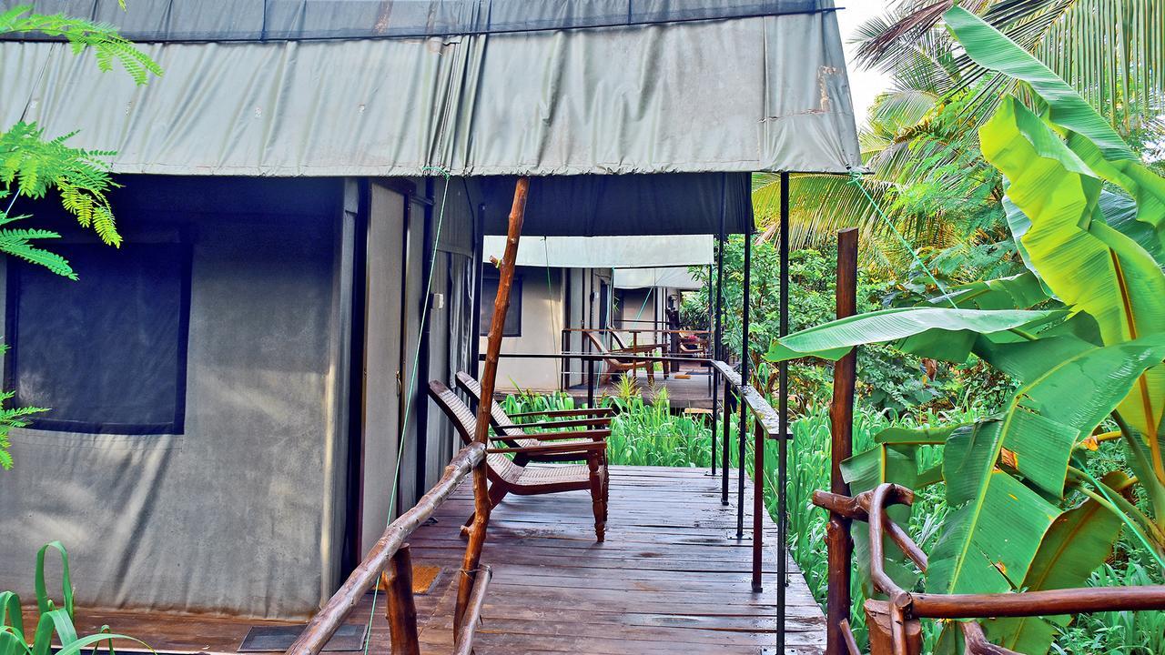 River Glamping By Gaga Bees อุดาวาลาเว ภายนอก รูปภาพ