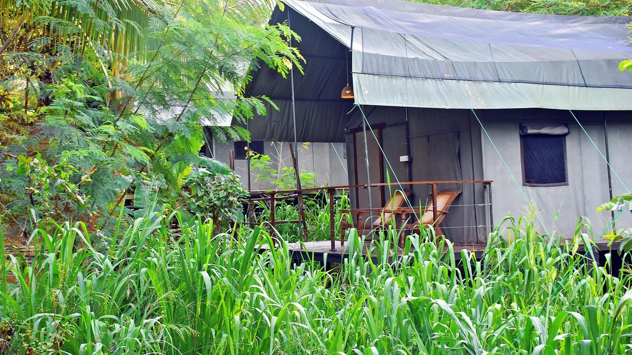 River Glamping By Gaga Bees อุดาวาลาเว ภายนอก รูปภาพ