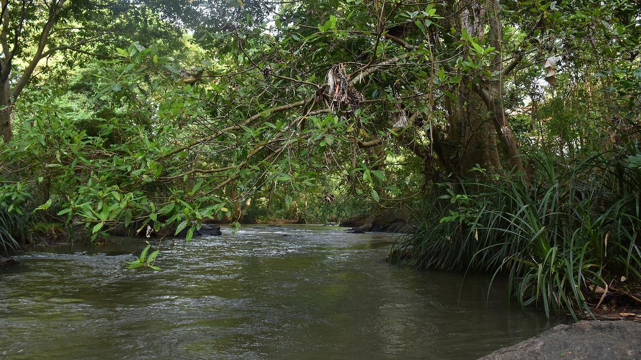 River Glamping By Gaga Bees อุดาวาลาเว ภายนอก รูปภาพ
